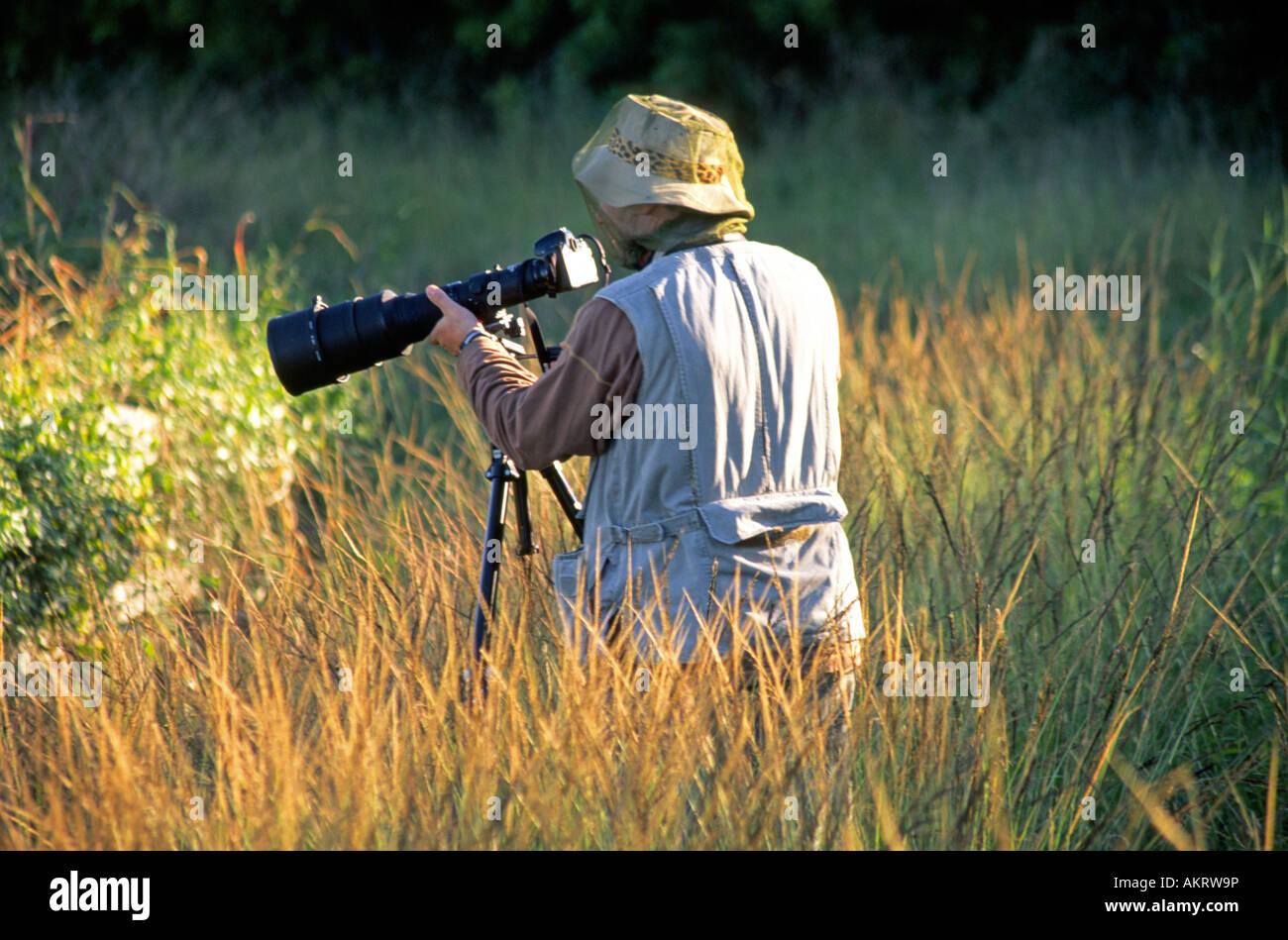 Un photographe portant une moustiquaire de photos d'oiseaux en un petit marais dans les Everglades Banque D'Images