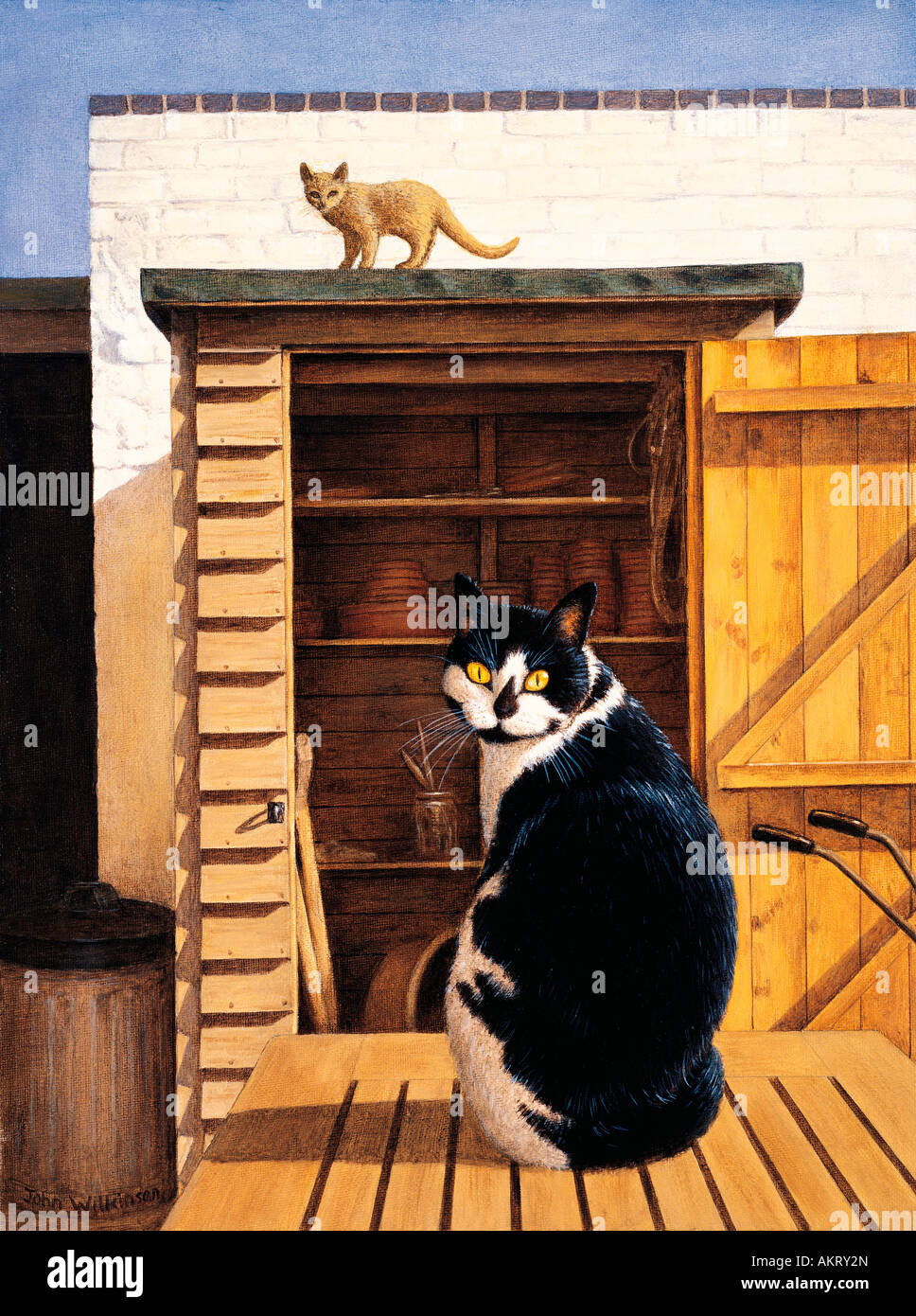 Artwork Peinture De Chat Noir Et Blanc Et Le Gingembre Chaton Dans Ouutdoors Par Jardin Hangar En Bois Toolshed Photo Stock Alamy
