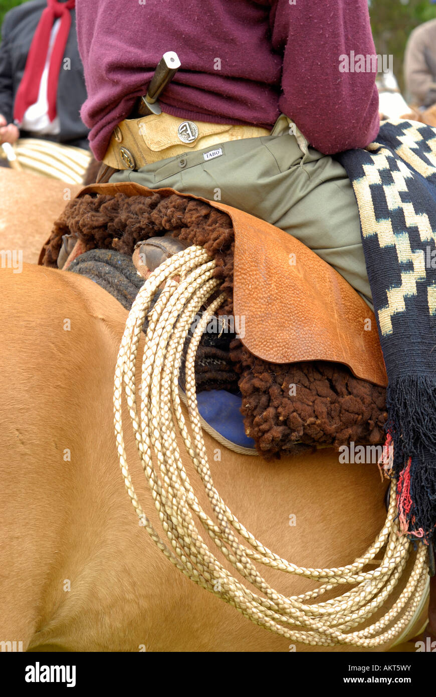 "Lasso" Lazo, Fiesta de la tradición, San Antonio de Areco, Provincia de Buenos Aires, Argentine, Amérique du Sud Banque D'Images