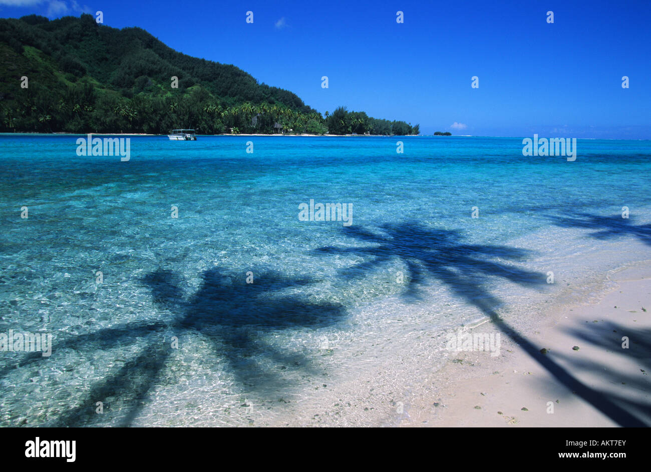 La France, la Polynésie française, archipel de la société, îles du Vent, Moorea, vue sur le motu Fareone de Moorea Banque D'Images