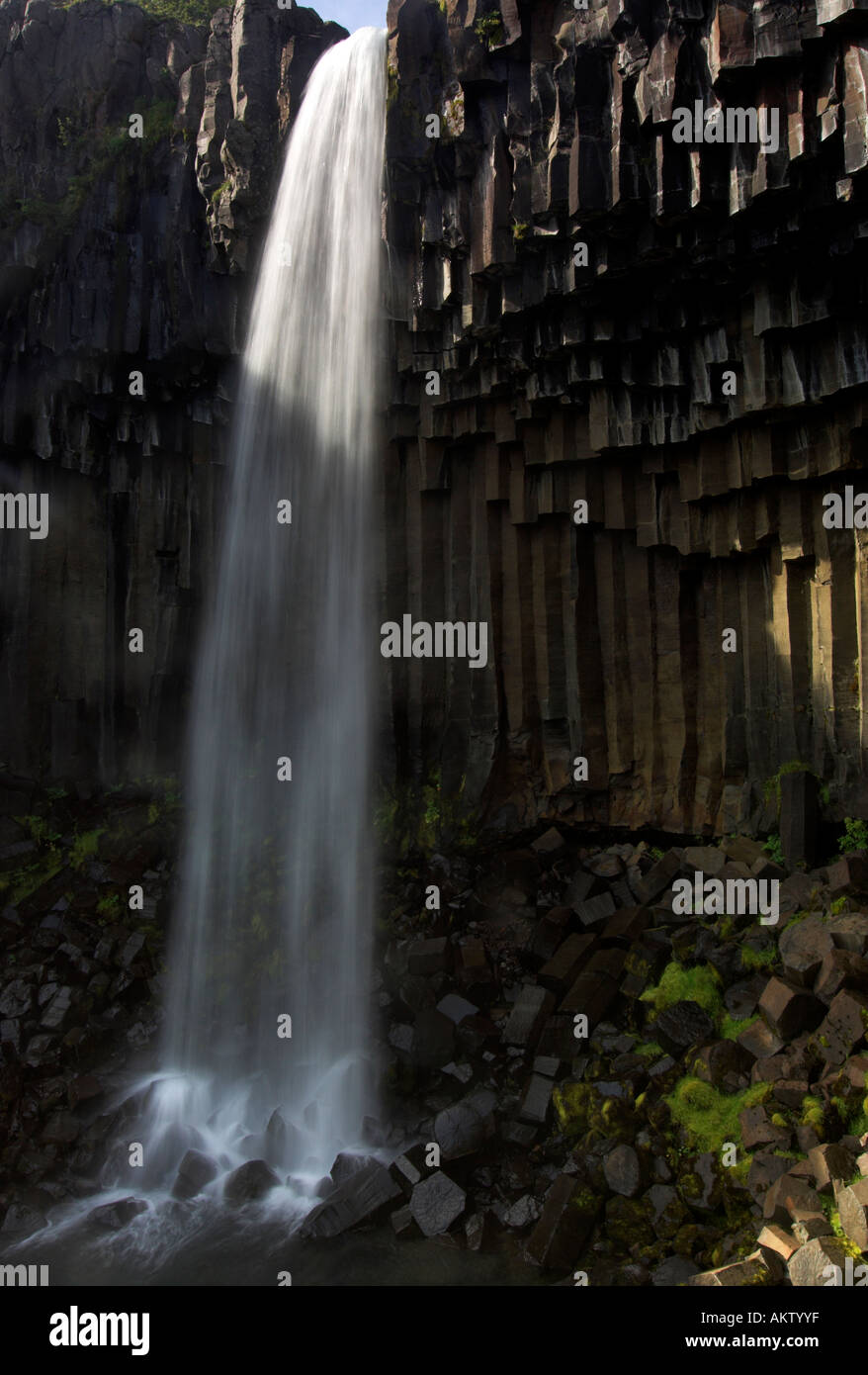 Cascade de Svartifoss Islande Banque D'Images