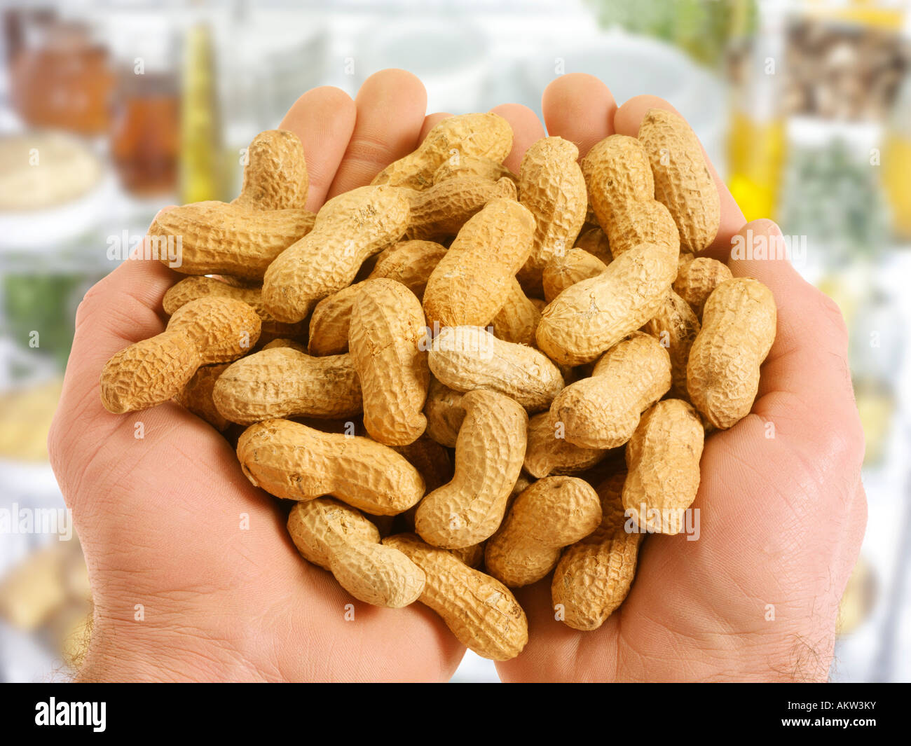 Poignée d'écrous de singe Banque D'Images