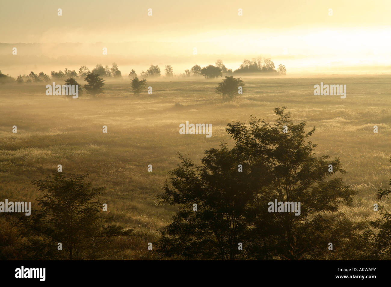 La brume et le brouillard du matin au lever du soleil près de la rivière Missouri Banque D'Images