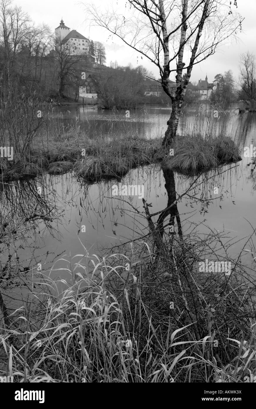 Château historique de Werdenberg vu du lac, Rheintal CH Banque D'Images