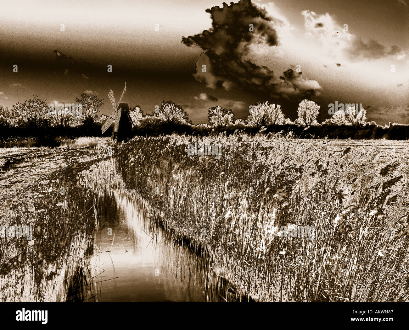 Photo illustration concept wicken fagnes norfolk england uk Banque D'Images