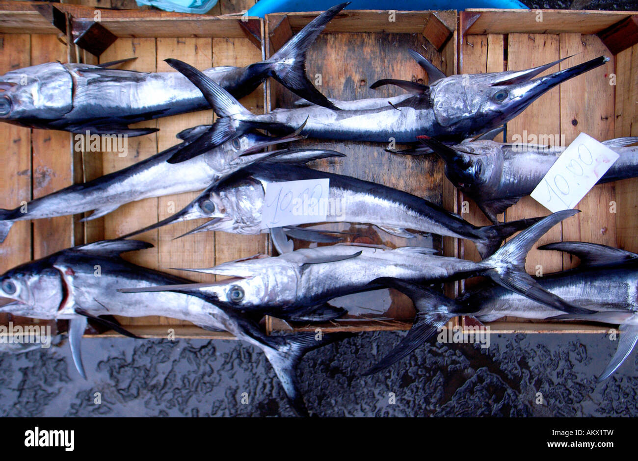 L'espadon pour vendre au marché de poissons Catane Sicile Italie Banque D'Images