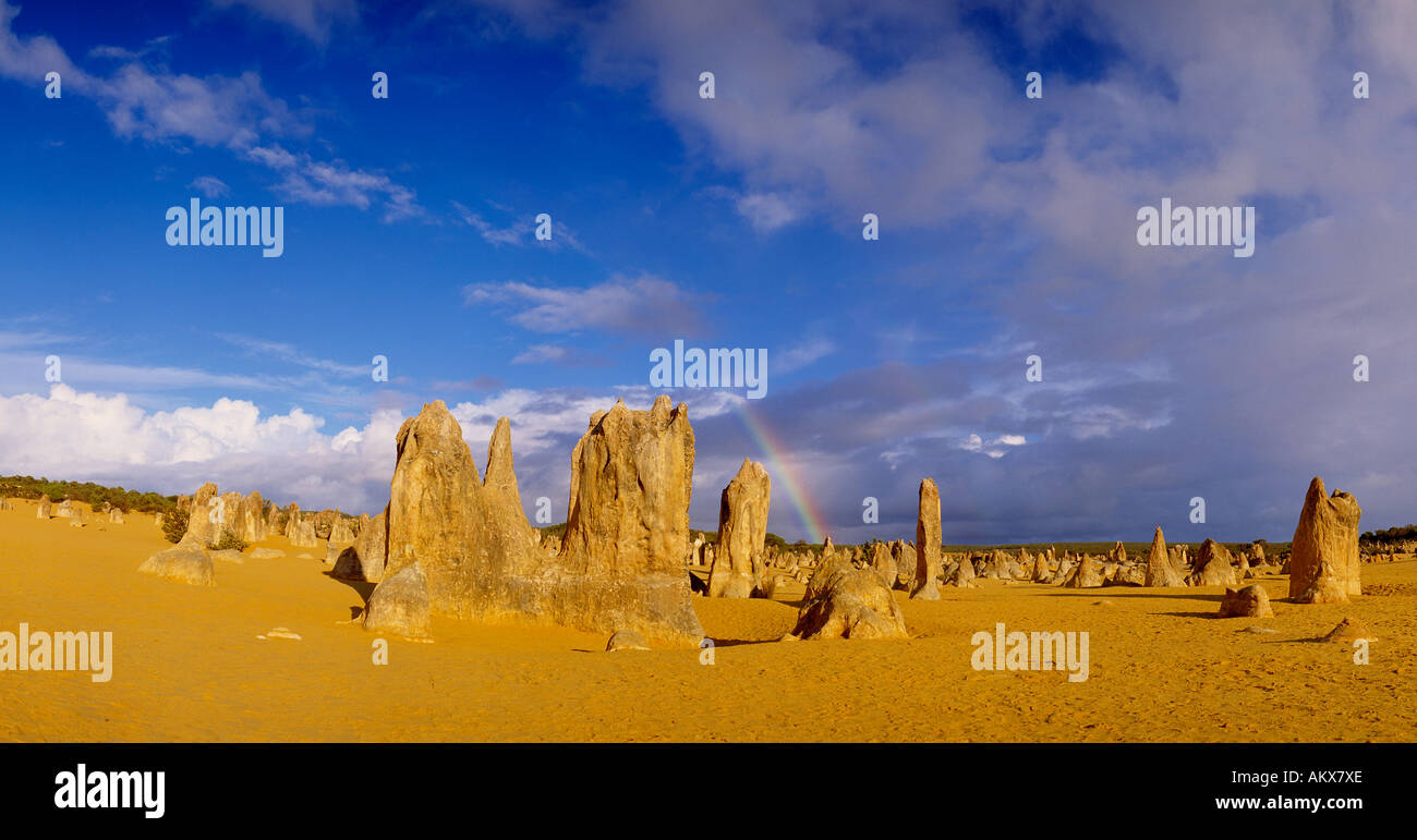 Pinnacles avec rainbow dans le Parc National de Nambung, Westaustralia, Australie Banque D'Images