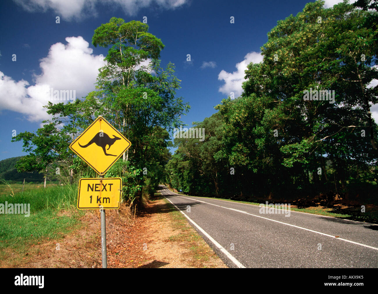 L'autoroute australienne typique avec kangaroo crossing warning sign, Queensland, Australie Banque D'Images