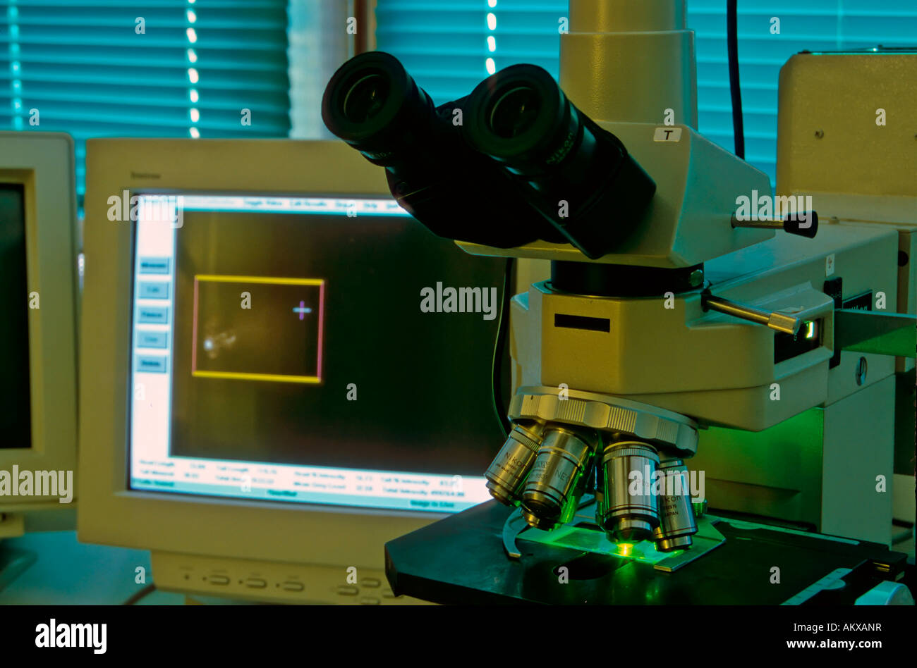 Analyse d'une expérience scientifique avec un microscope à fluorescence dans le laboratoire Banque D'Images
