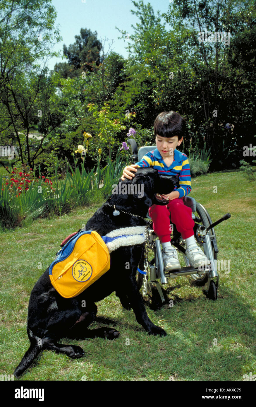 Mobilité CAUCASIAN BOY 7 et son compagnon canin DANS LE JARDIN DE SA MAISON À MOBILITÉ GARÇON ET CHIEN SACRAMENTO CALIFORNIE Banque D'Images