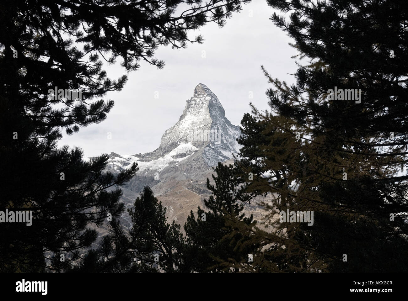 Matterhorn, Zermatt, Valais, Suisse, 'Wallis Banque D'Images