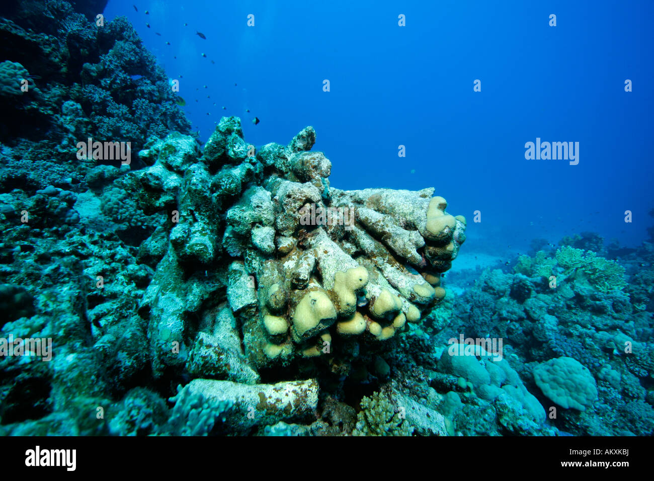Les récifs coralliens morts, détruit les coraux, causée par les vagues. Banque D'Images