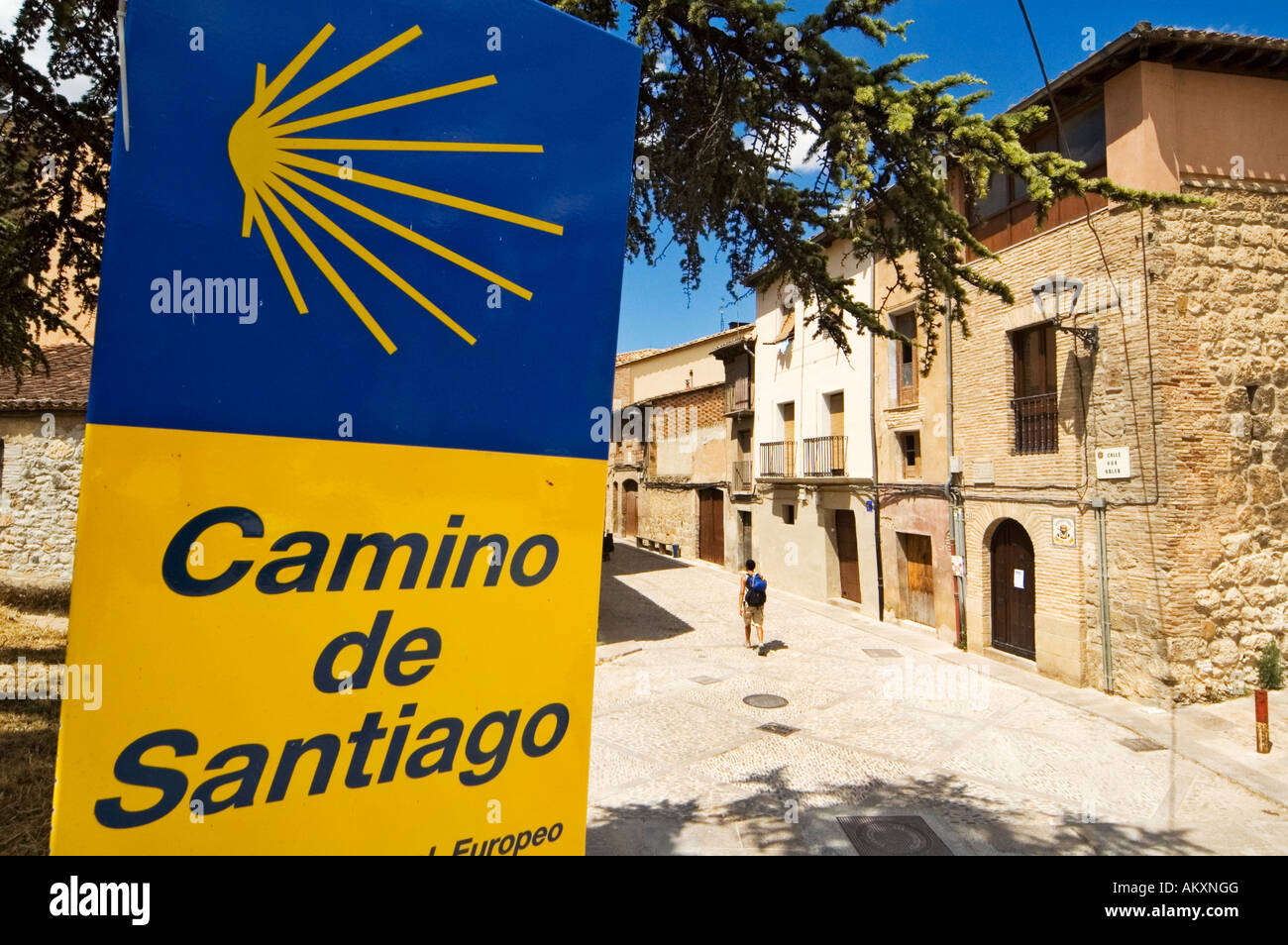 Texte du pétoncle et Camino de Santiago sur une carte jaune bleu, panneau pour le chemin de Saint Jacques, Navarra, Espagne Banque D'Images