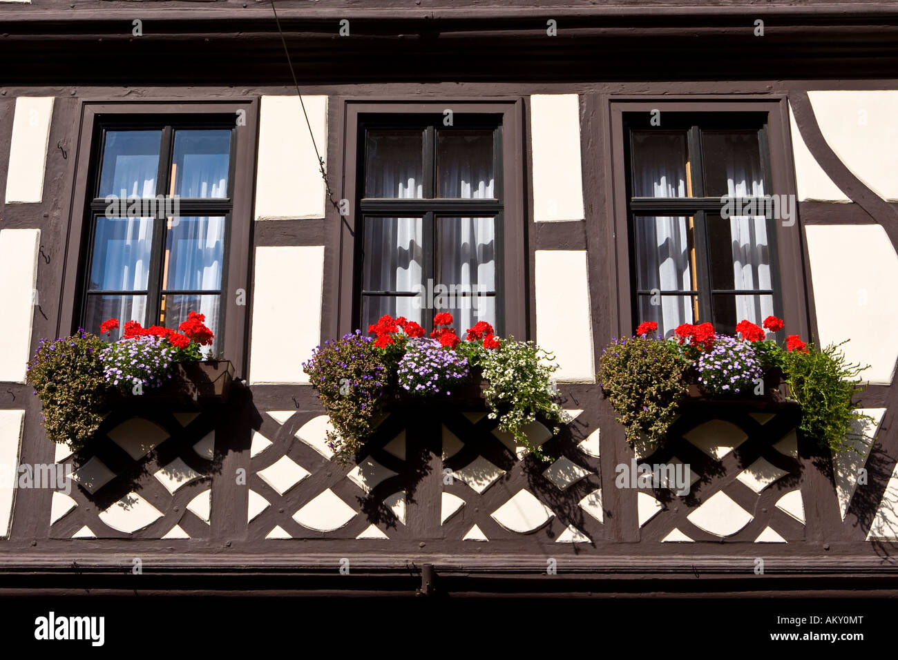 Partie ancienne de la ville, maisons à colombages bien entretenues avec les boîtes à fleurs, Miltenberg, Bavière, Allemagne Banque D'Images