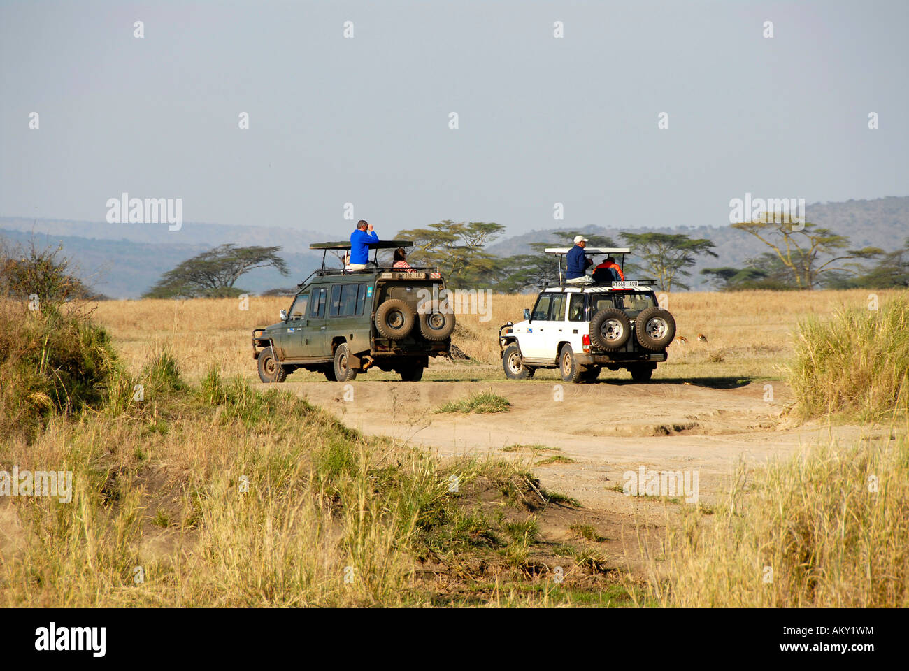 Deux Toyota Landcruisers Safari dans le Serengeti en Tanzanie Banque D'Images