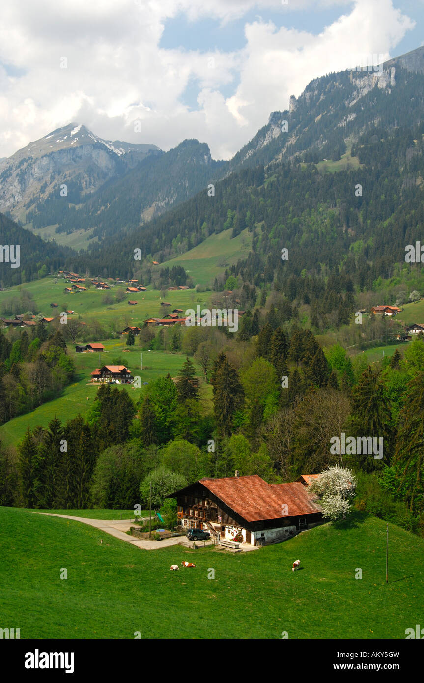 Paysage préalpin du Simmental avec Swiss farm yard, Suisse Banque D'Images