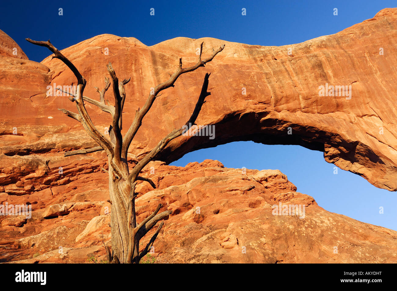 La fenêtre du sud, Arches National Park, Utah, USA Banque D'Images