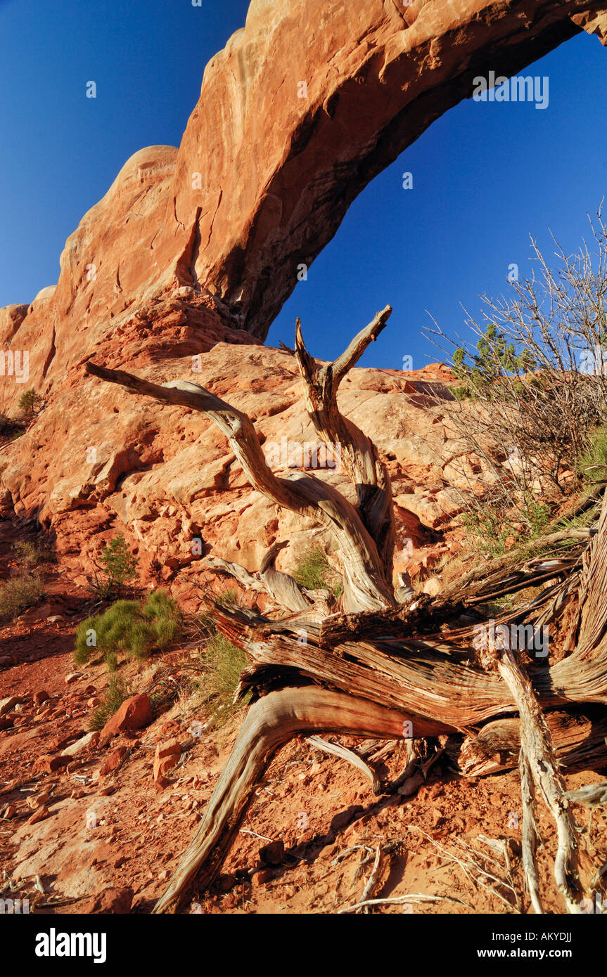 La fenêtre du sud, Arches National Park, Utah, USA Banque D'Images
