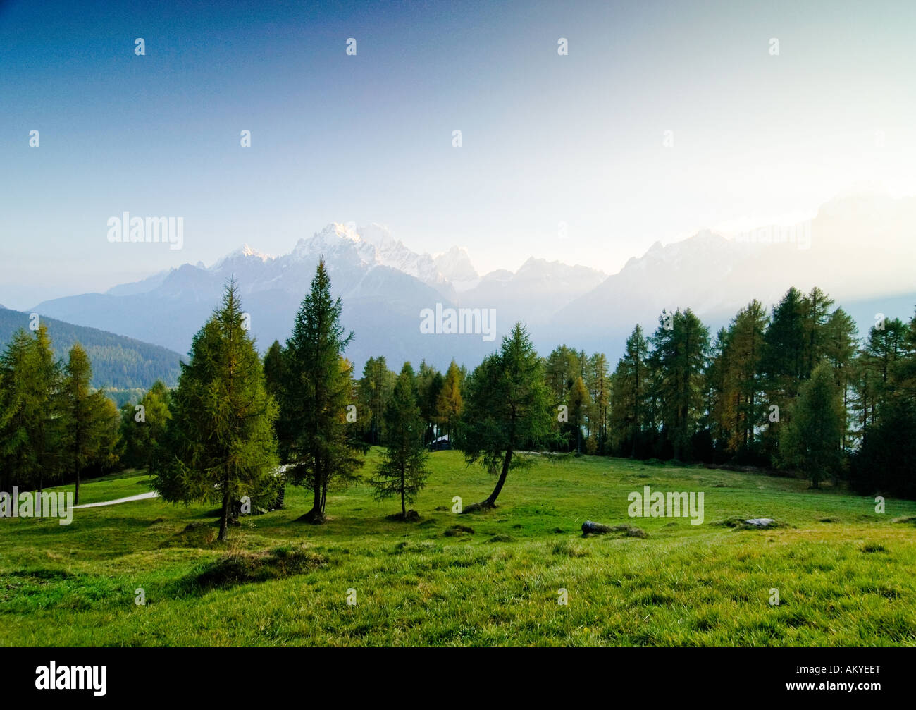 Vue sur un alpage pâturage pour les pics de la Sextener Dolomites Tyrol du Sud, Italie, Banque D'Images