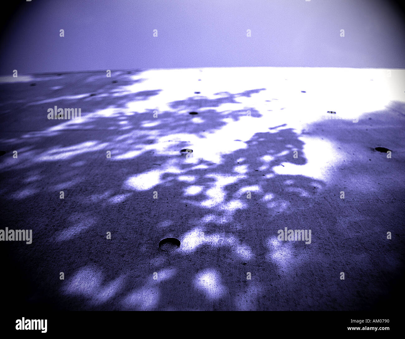 Ombre de feuilles d'arbres sur un mur en béton par Tadao Ando au Piccadilly Manchester UK Banque D'Images