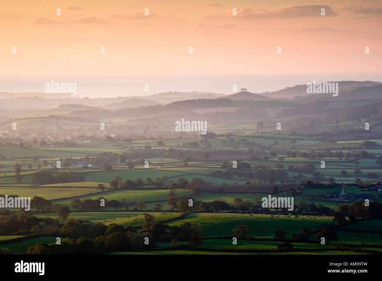 À l'égard de la colline Colmers Stylo Pilsdon, Dorset, UK, à l'aube Banque D'Images