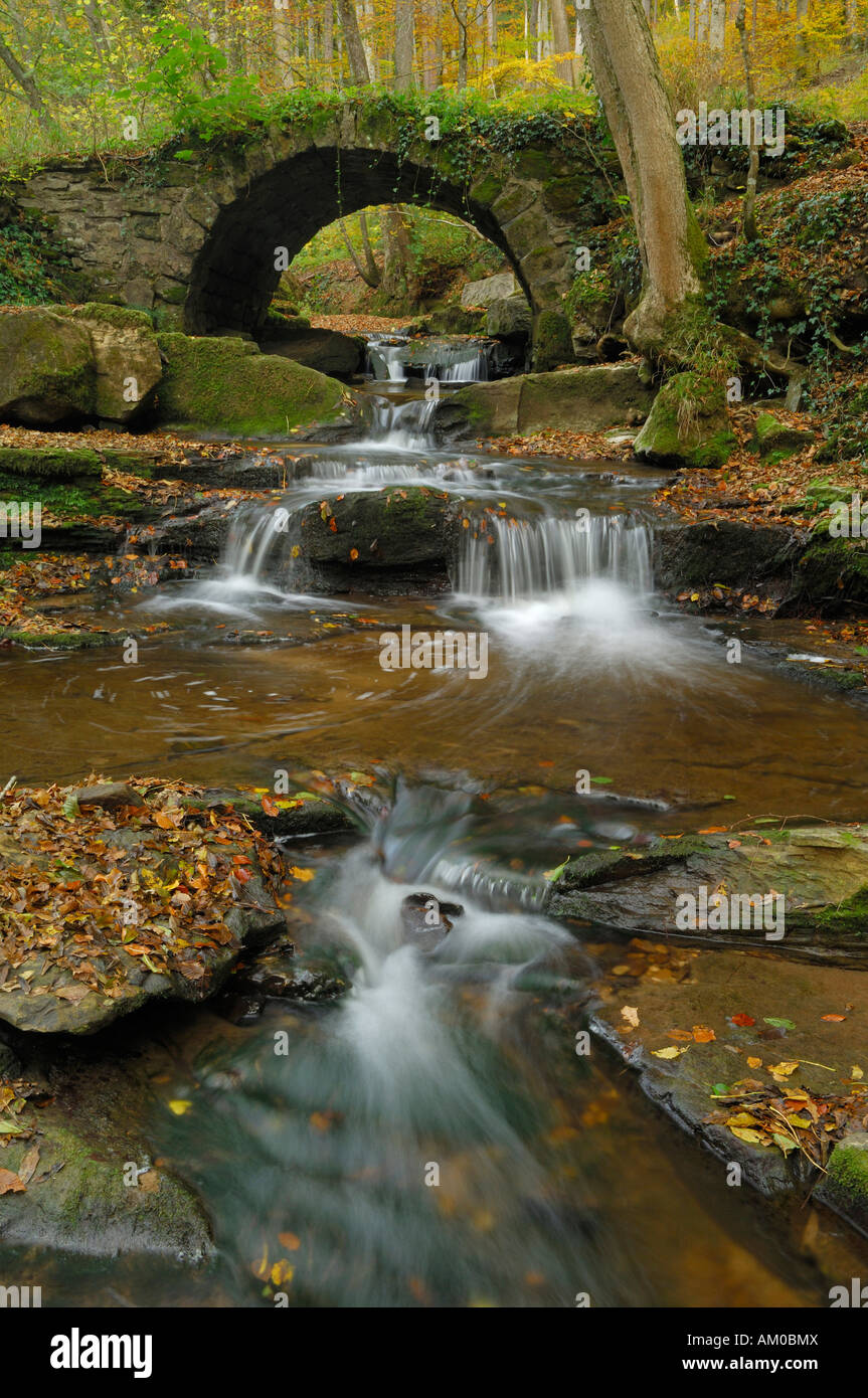 Ruisseau de montagne d'automne, vieux pont de pierre Banque D'Images