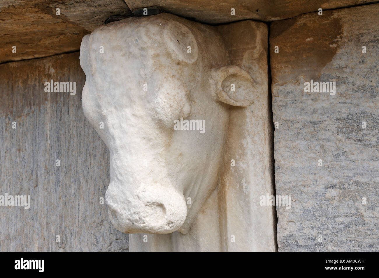 Tête de taureau sur monument, Delos, Grèce Banque D'Images