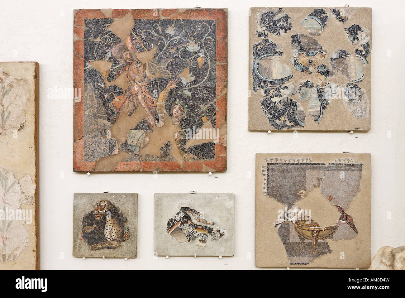 Petites mosaïques au Musée, Delos, Grèce Banque D'Images