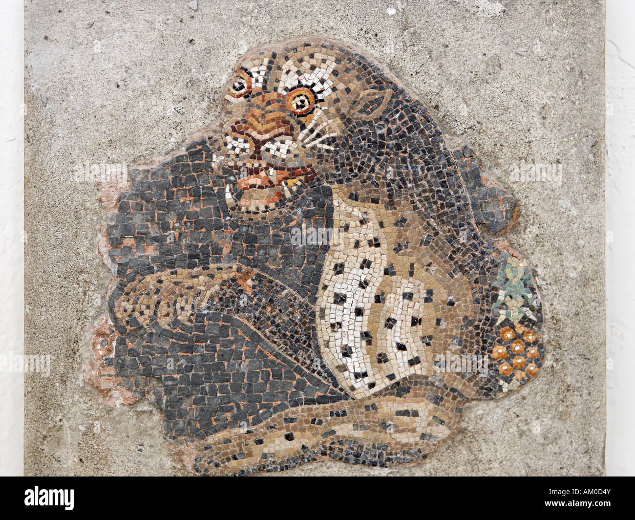 Fragment de mosaïque avec tête de panther dans Museum, Delos, Grèce Banque D'Images