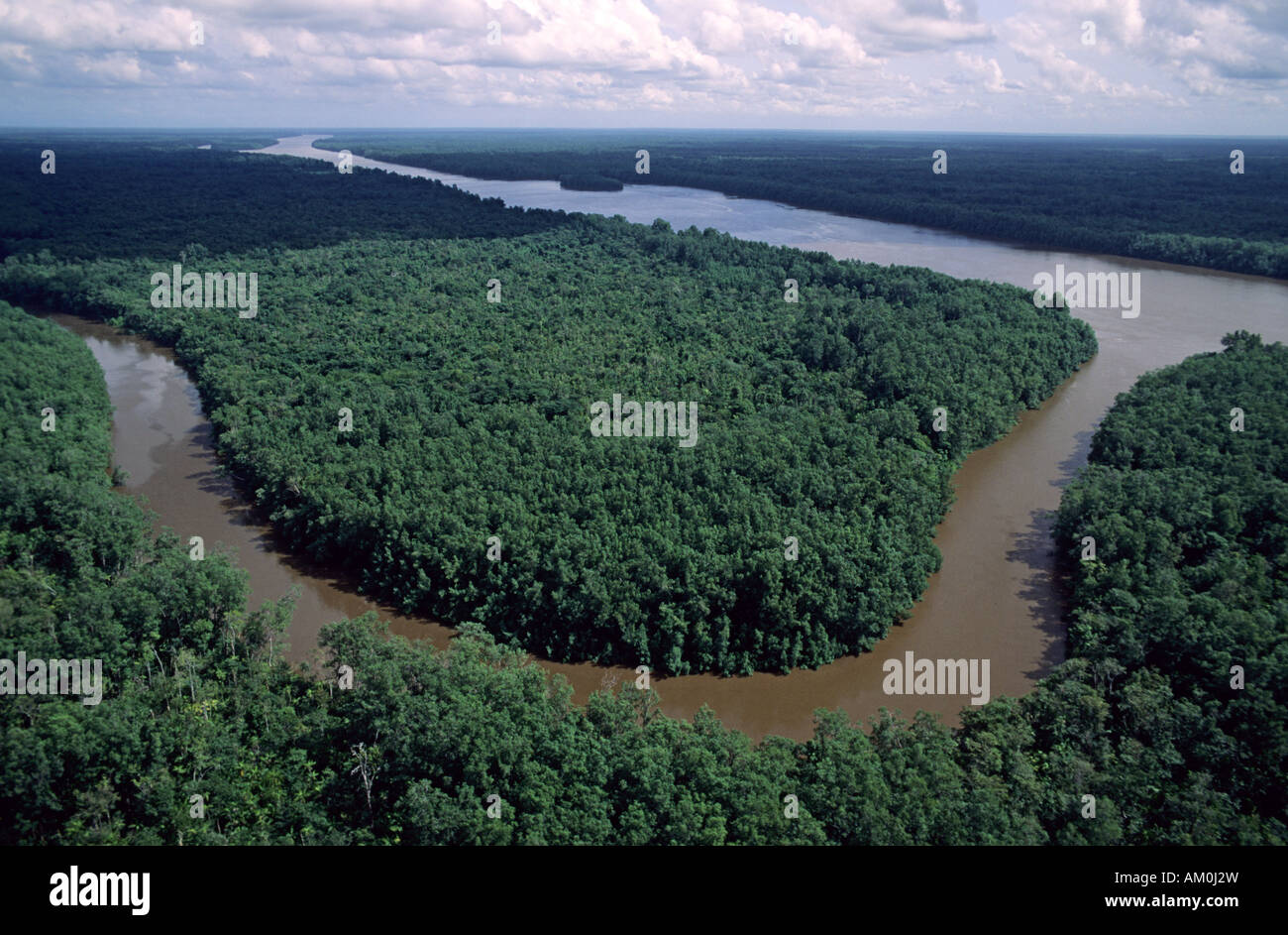 Le Venezuela, Delta Amacuro (delta de l'Orénoque) Banque D'Images