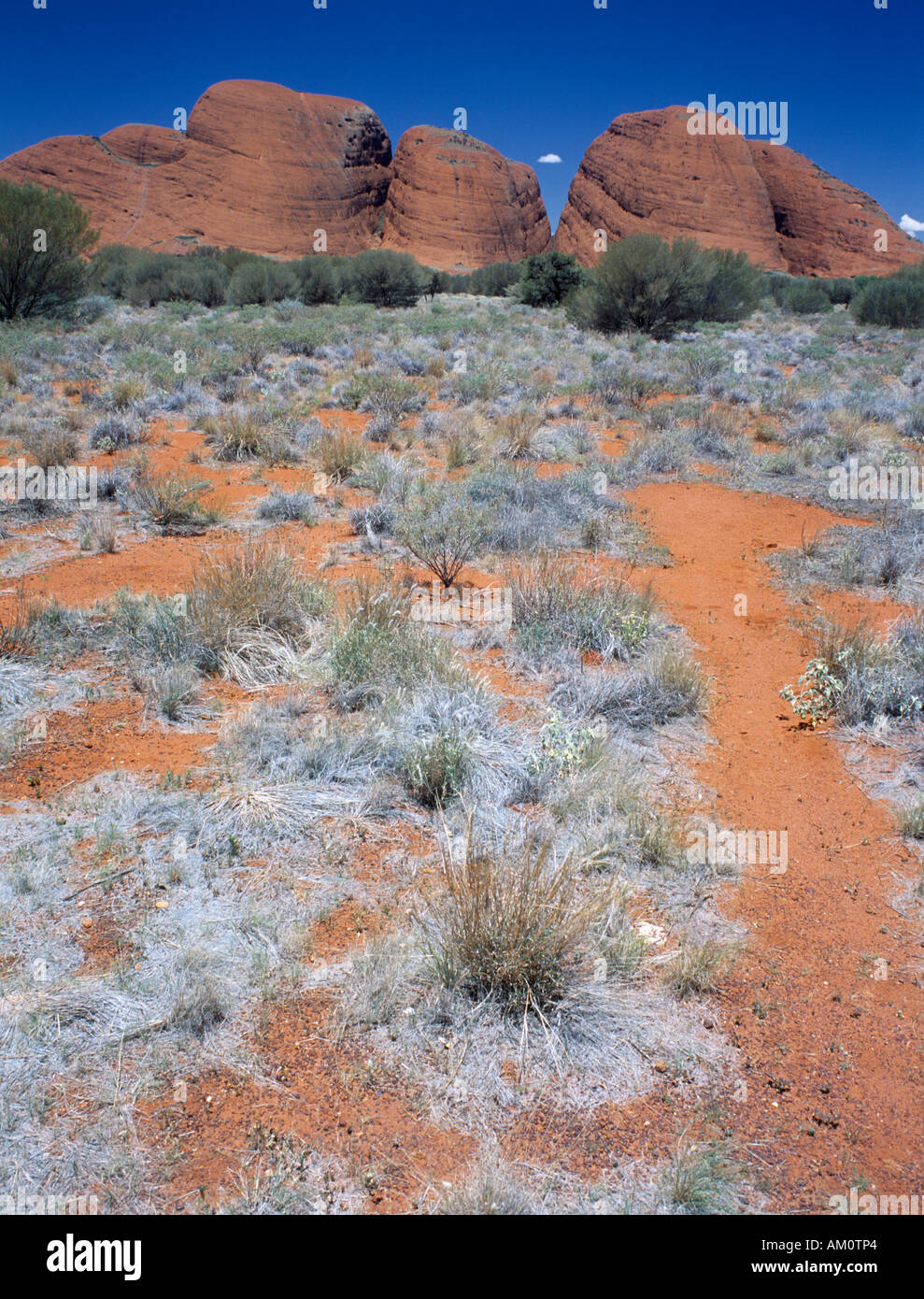 Australie Territoire du Nord Kata Tjuta National Park Banque D'Images