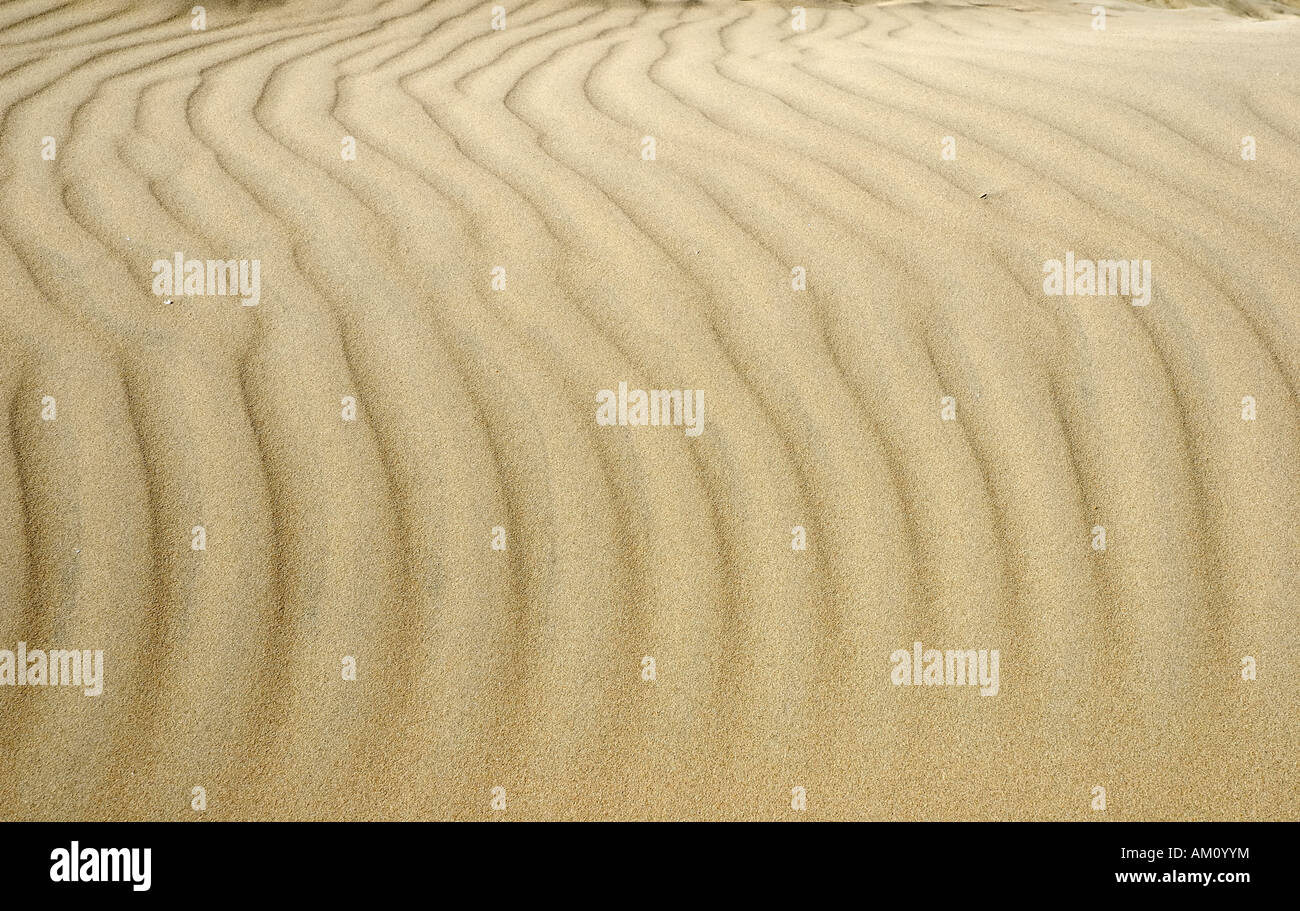 Les structures de l'onde géométrique pied par force du vent sur les dunes de sable à la côte atlantique de l'Irlande Banque D'Images