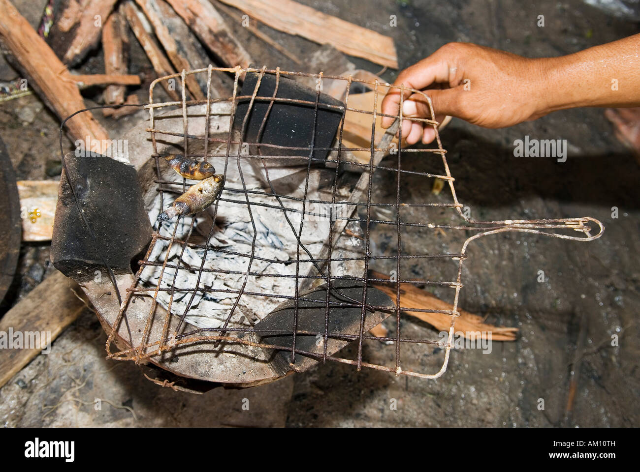 Repas : deux pauvres petits poissons sont grillés sur feu ouvert, des taudis Andong, Phnom Penh, Cambodge Banque D'Images