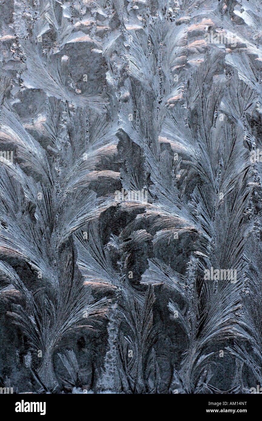 Sur une fenêtre givrée remplages panneau d'un des modèles de voiture - Frost Banque D'Images