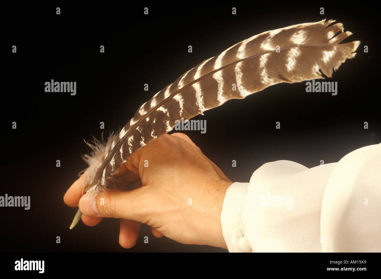 Plume Banque D'Images