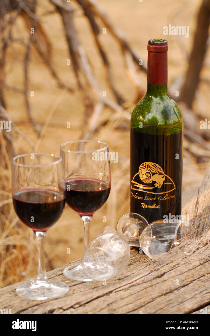 Vin rouge avec des lunettes, Fish River Canyon, Namibie Banque D'Images
