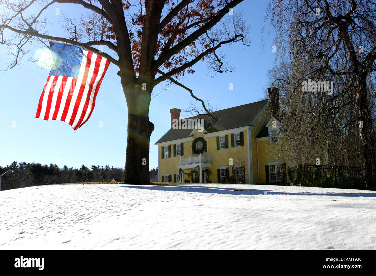 Chambre avec le drapeau américain dans l'arbre Concord Massachusetts Banque D'Images