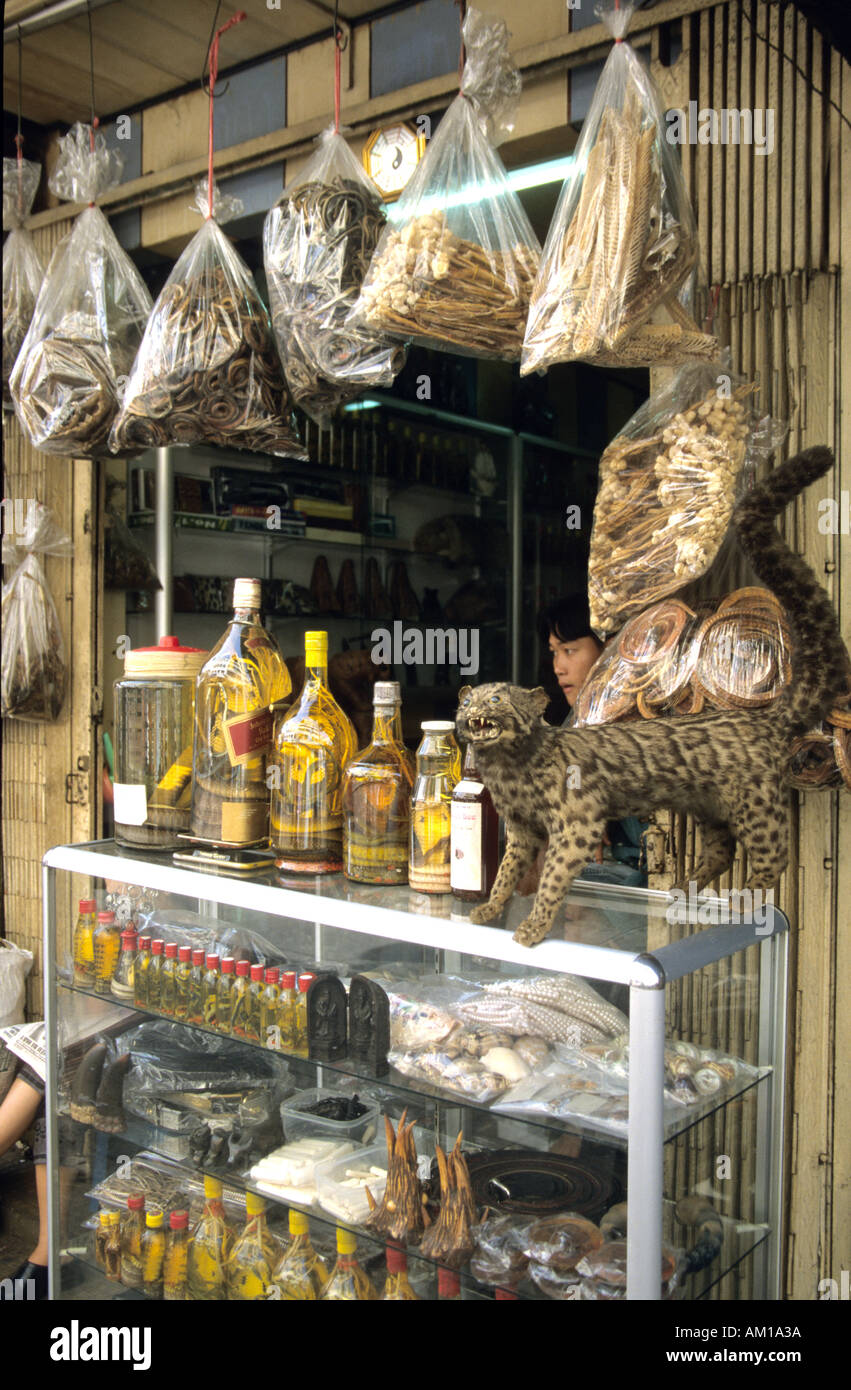 La médecine chinoise vietnamienne boutique vendant des parties d'animaux pour leur médecine traditionnelle Banque D'Images