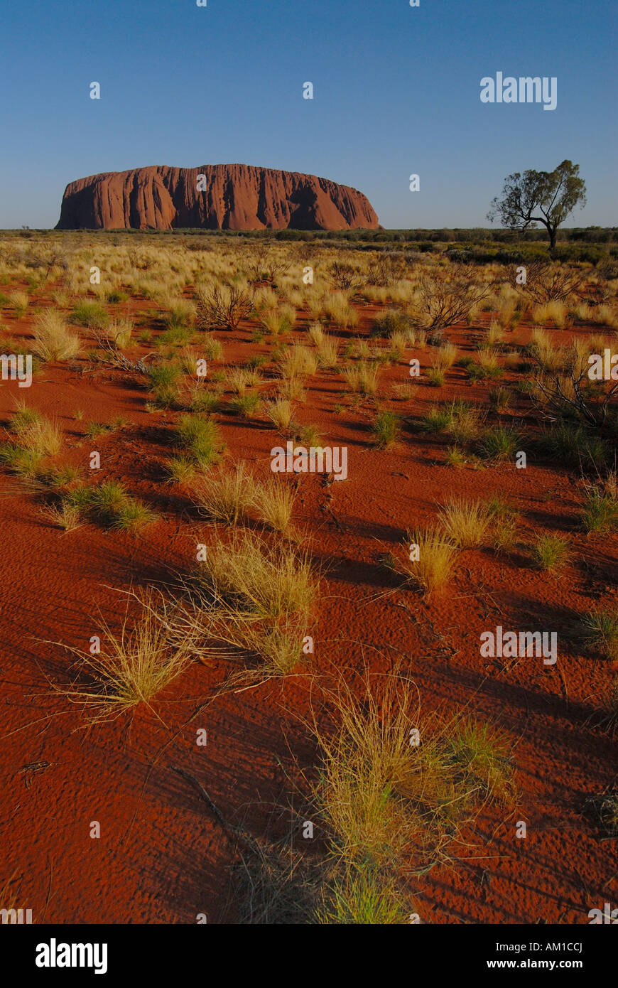 Ayers Rock, Uluru, appelé magic rock des Aborigènes, Ayers Rock, Yulara, Territoires du Nord, Amérique, Australie Banque D'Images