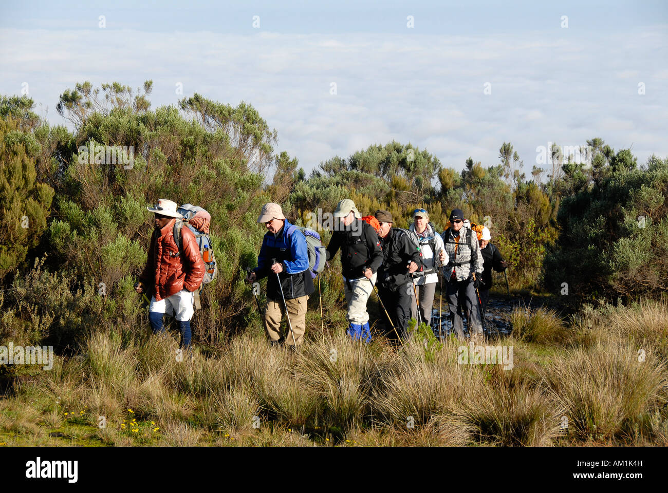 Groupe de randonneurs avec guide local sur un sentier dans la garrigue le Parc National du Mont Kenya Kenya Banque D'Images