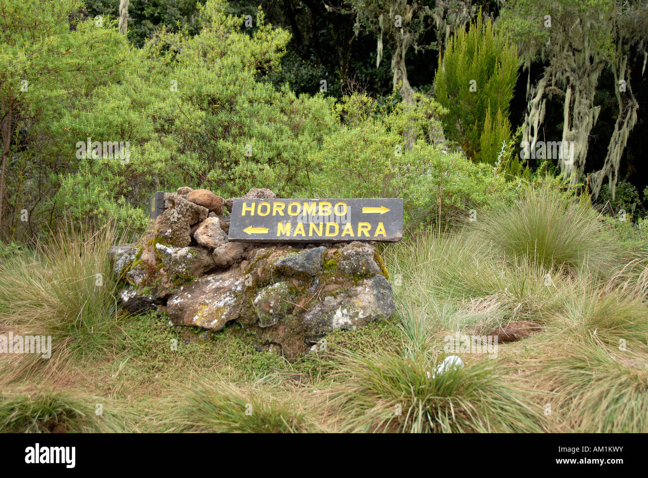 Inscrivez-Route Marangu Mandara Horombo Kilimandjaro Tanzanie Banque D'Images