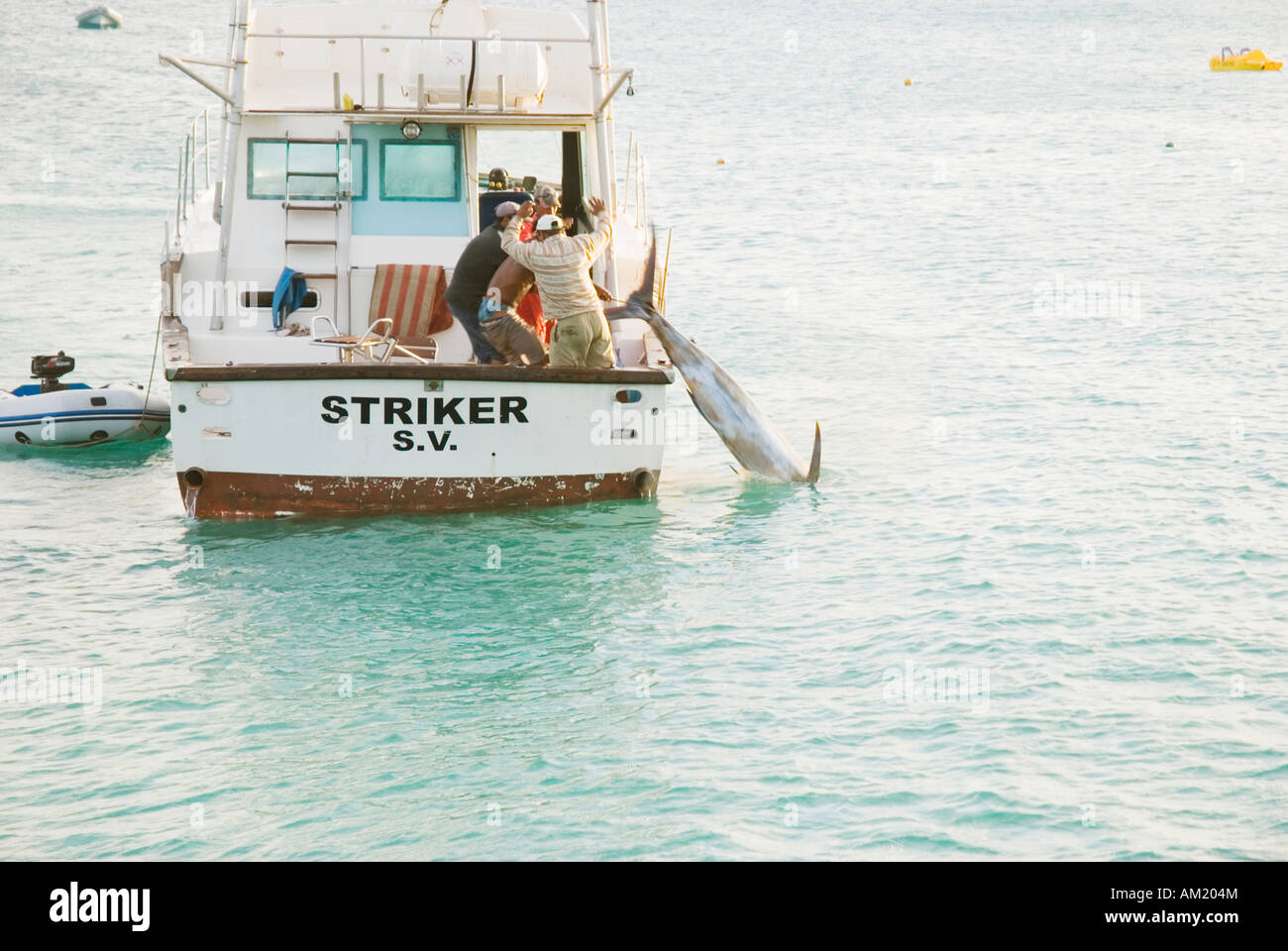 Les pêcheurs luttent avec un grand marlin bleu poisson dans les îles du Cap-Vert. Banque D'Images