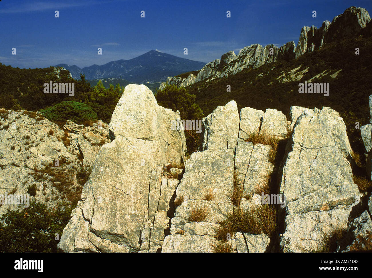 France Provence vaucluse dentelles de Montmirail mont Ventoux à distance Banque D'Images