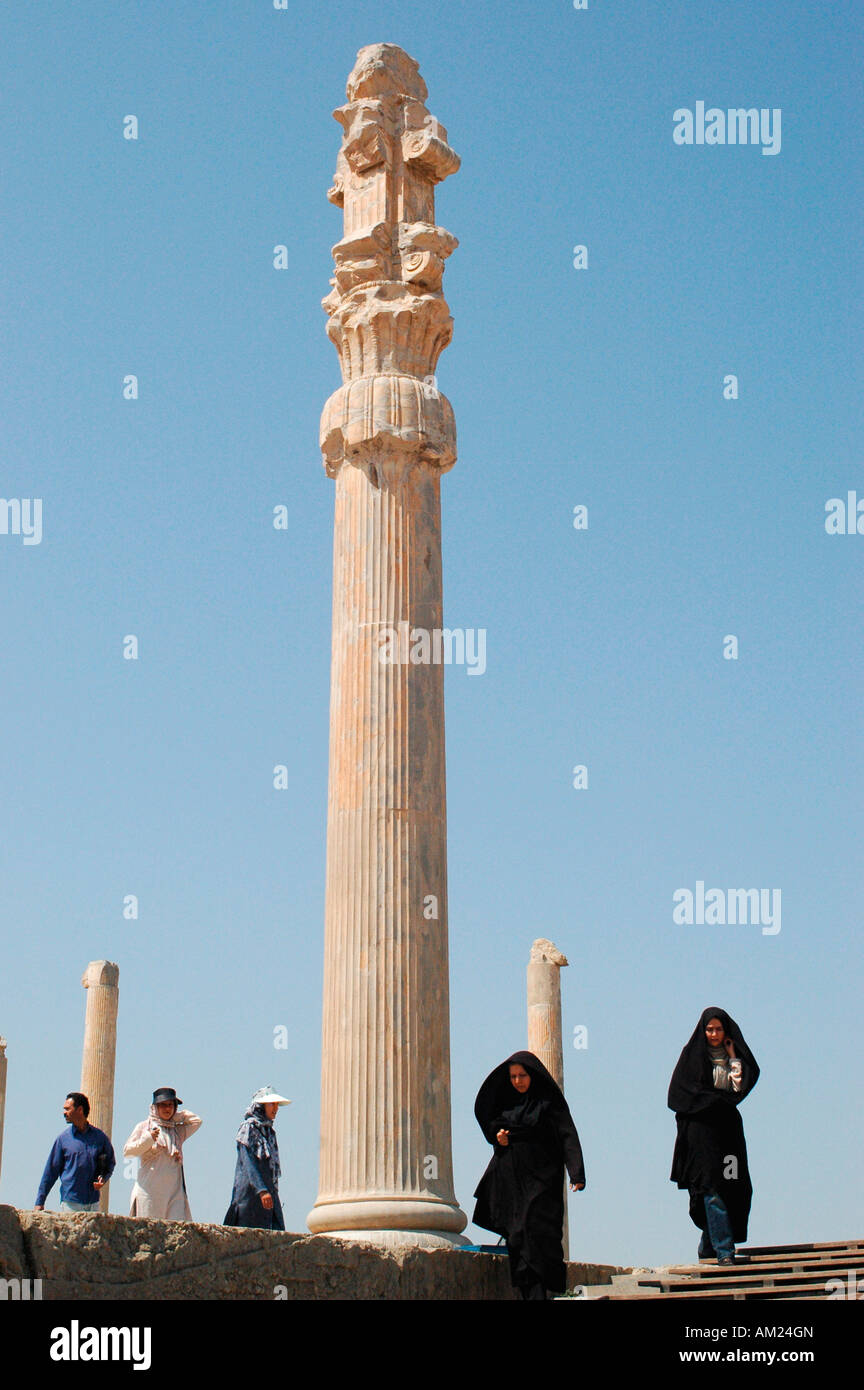 Colonnes du palais Apadana Iran PERSEPOLIS Banque D'Images