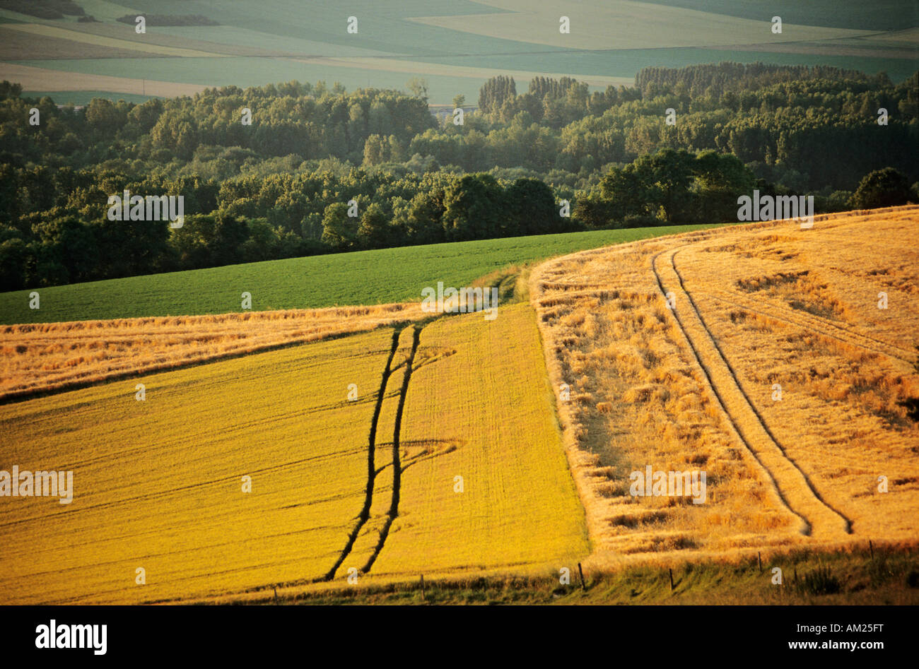 France, Val d'Oise, Vexin français, près de village Cherence Banque D'Images