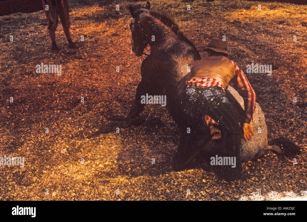 Cheval sur la masse à une sonnerie Circus Flora Indiana Banque D'Images