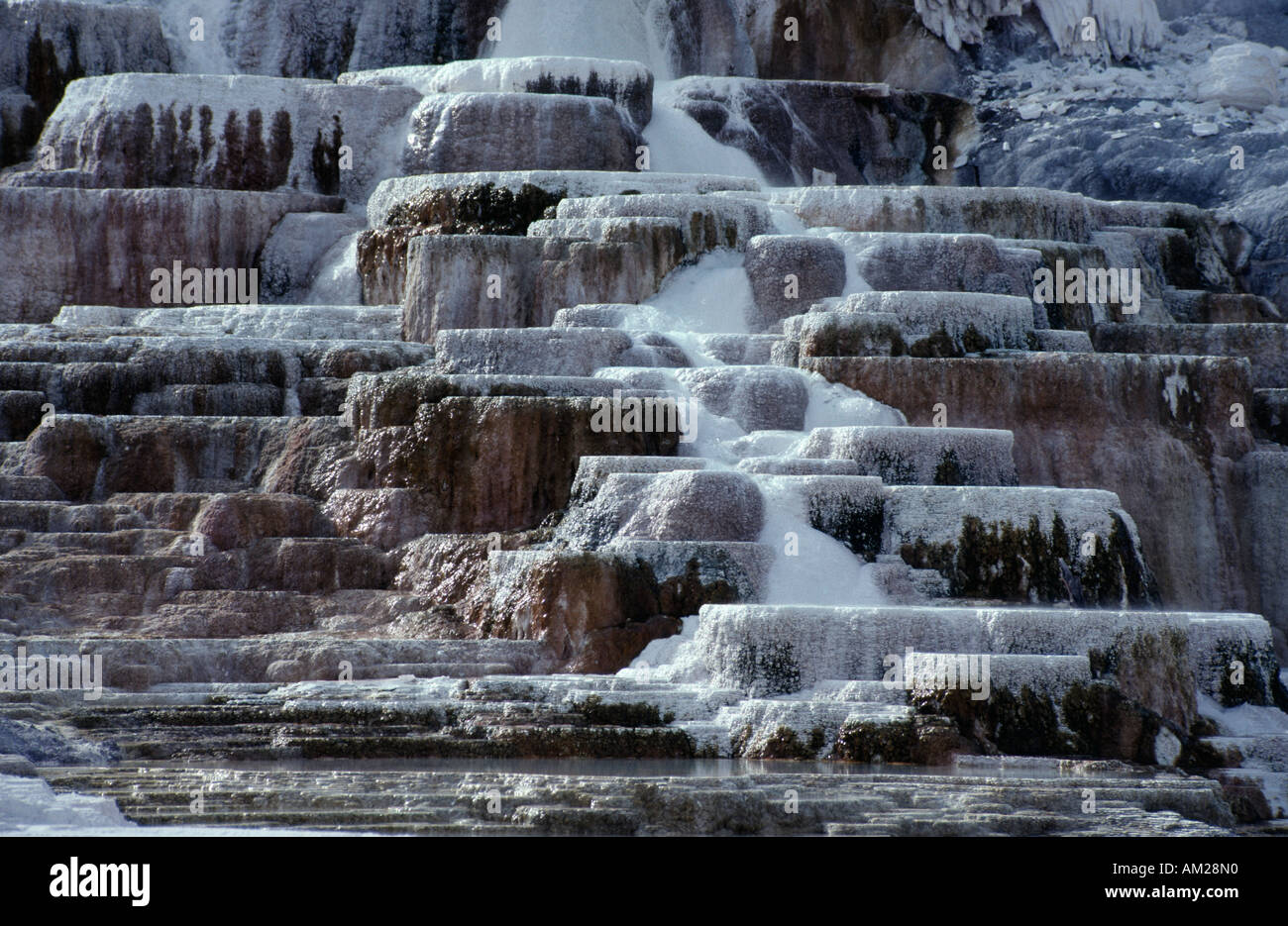 USA Wyoming Yellowstone National Park Banque D'Images