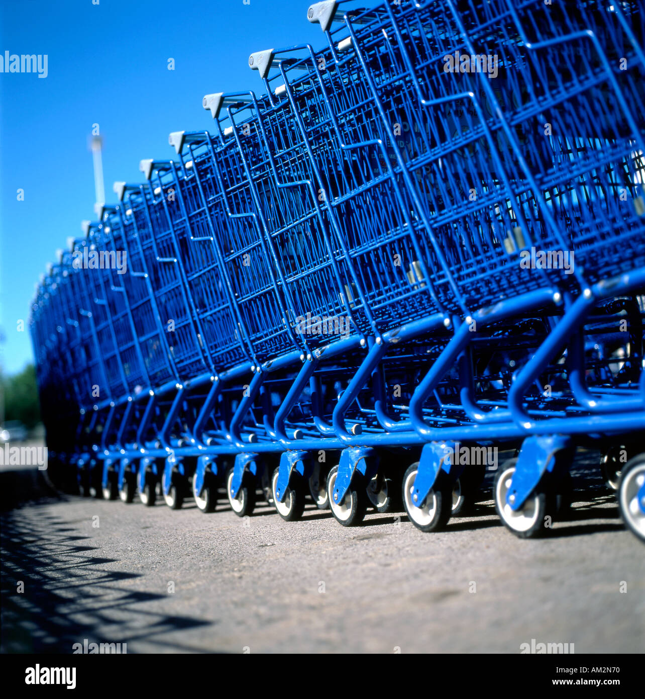 Walmart communicante bleu shopping carts trollies à l'extérieur du magasin dans le stationnement KATHY DEWITT Banque D'Images