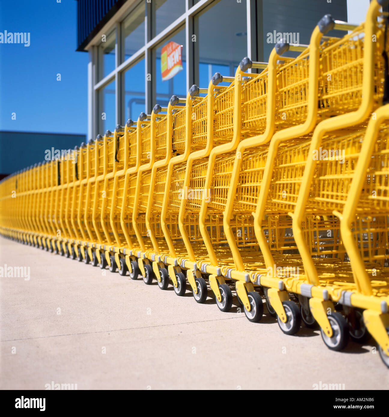 Rangée de chariots jaunes à l'extérieur du supermarché « No Frills » magasin d'alimentation à prix réduit à bas prix en Ontario KATHY DEWITT Canada Banque D'Images