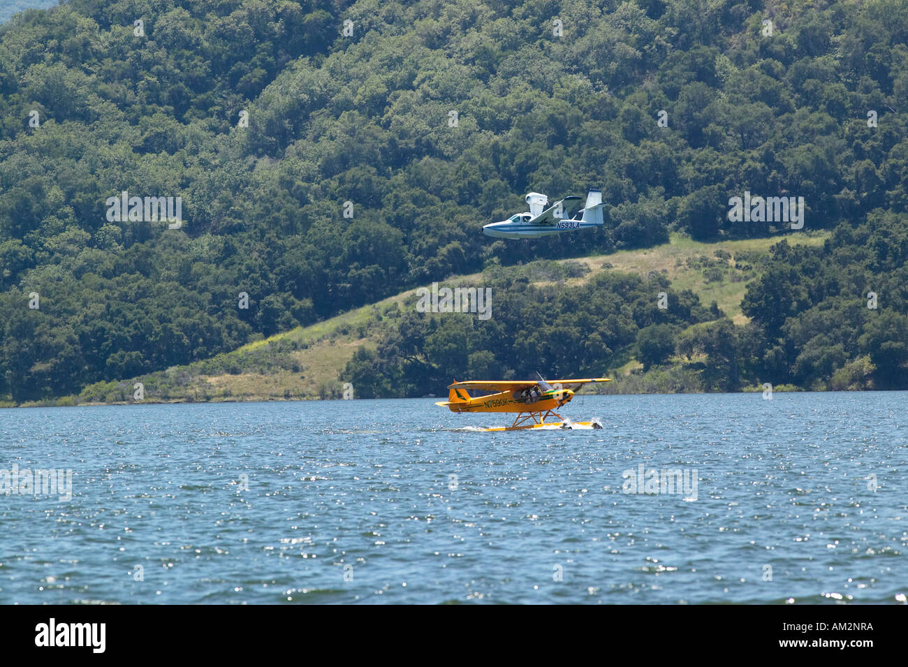 Deux hydravions amphibies l'atterrissage sur le lac Casitas Ojai en Californie Banque D'Images